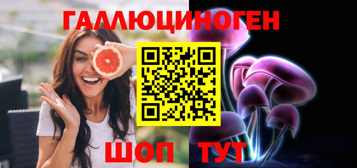 Галлюциногенные грибы мицелий Чернушка