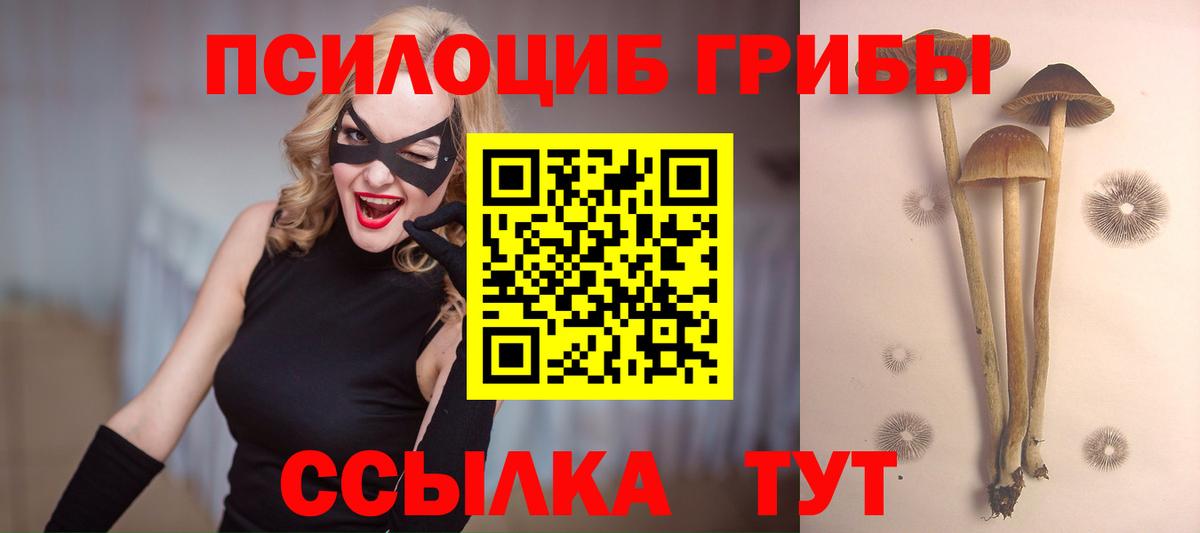 Галлюциногенные грибы GOLDEN TEACHER  Вход с VPN  Чернушка 